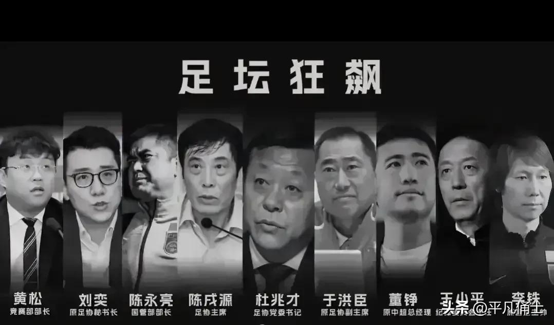 中国足协改革原因,中国足协该怎么整改