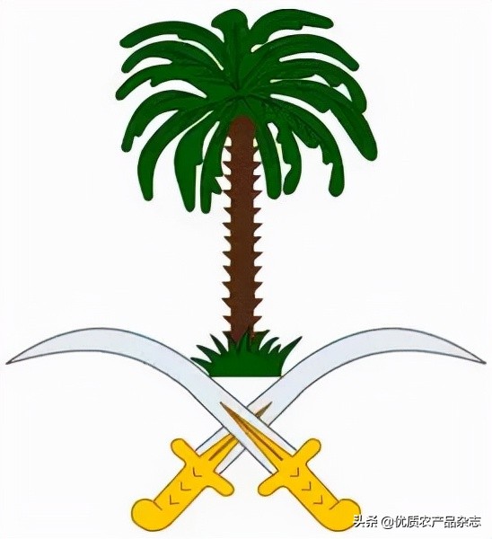 被称为绿色金子的特色蔬菜,被欧洲人称为绿色金子