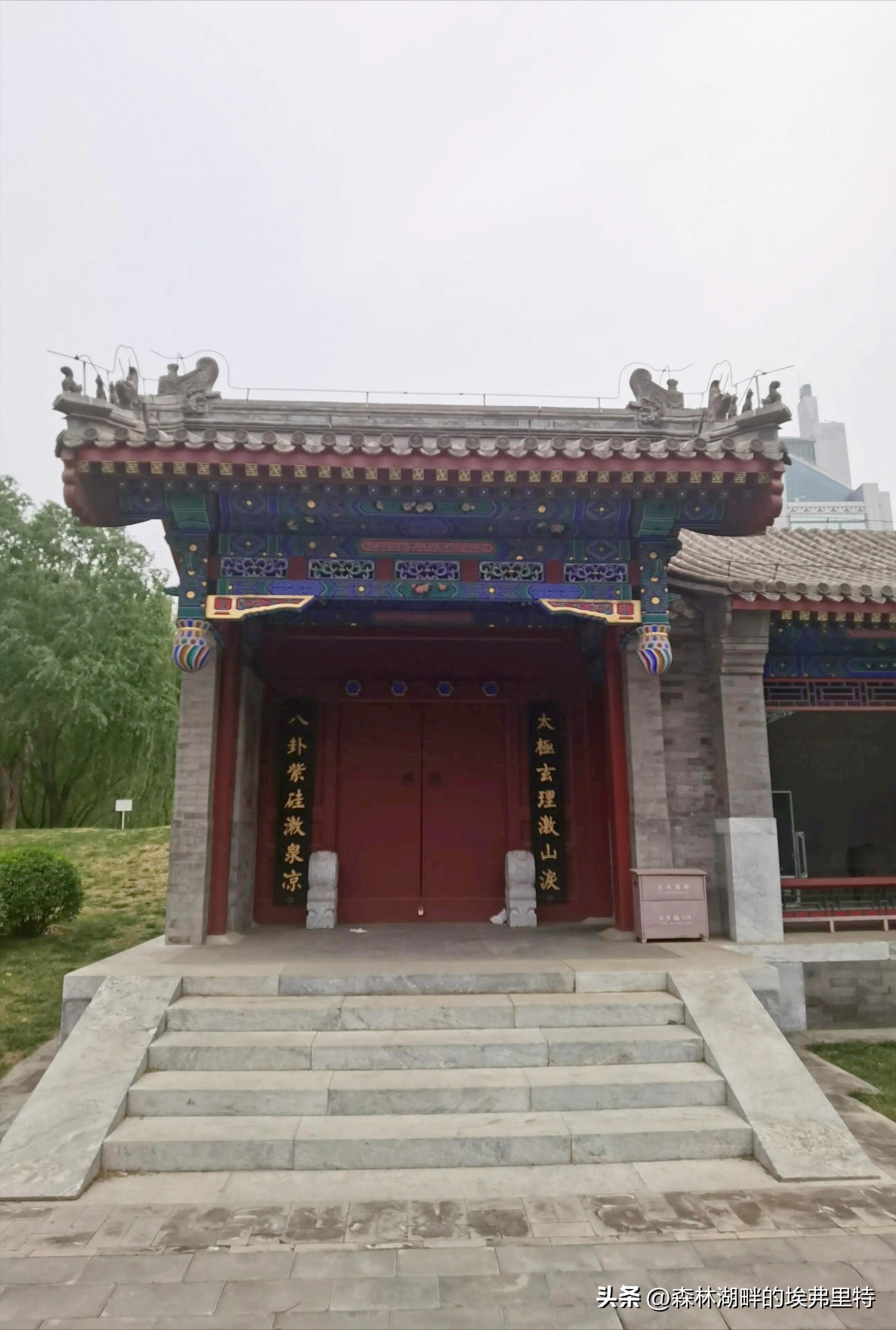 北京庆丰公园里的“神木”