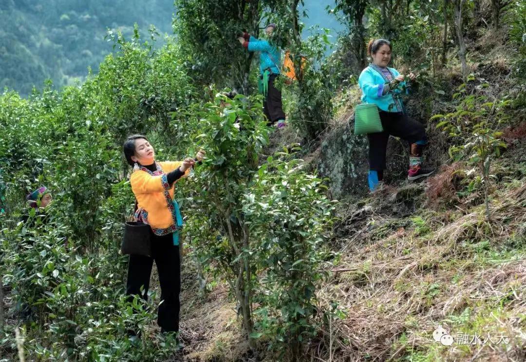 贵州姑娘90后创业,广西90后女生创业