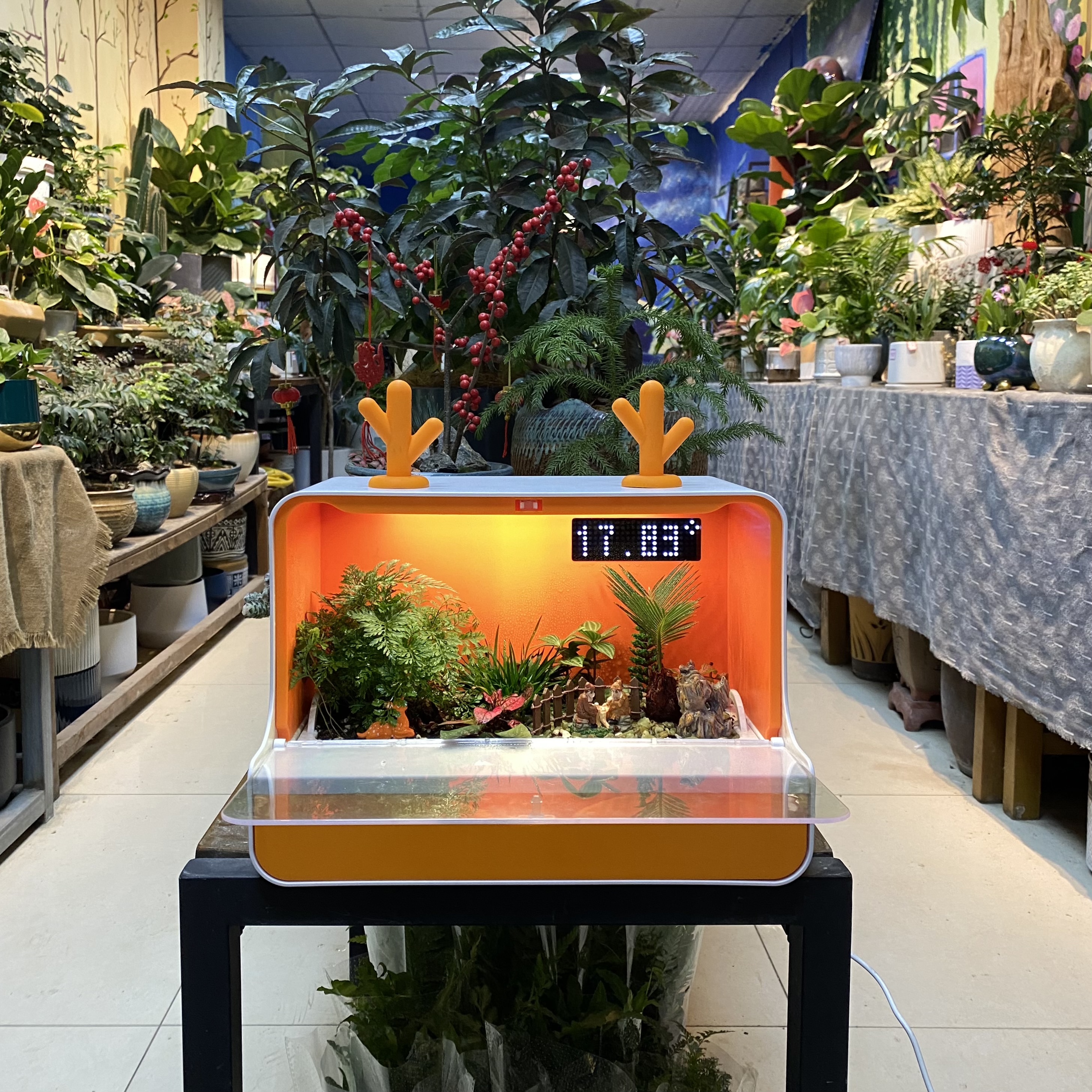 智能种植机更懂“花”心，植物可以“傻瓜”式栽培