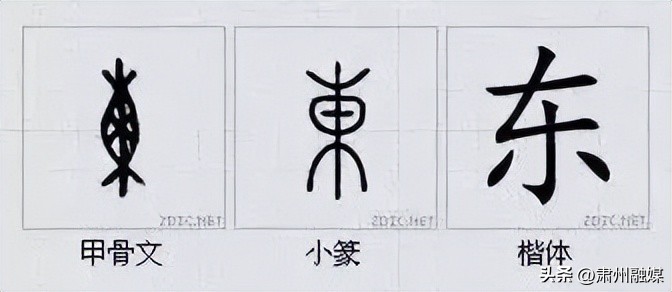 水平极高的演讲太精彩了,十大顶级经典演讲完整版