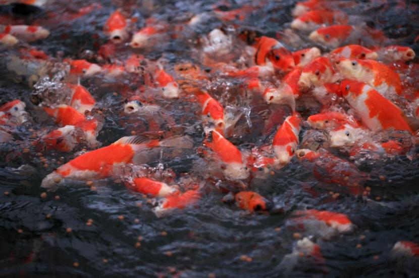 天猫双11抽奖券,天猫双11爆款清仓盛典