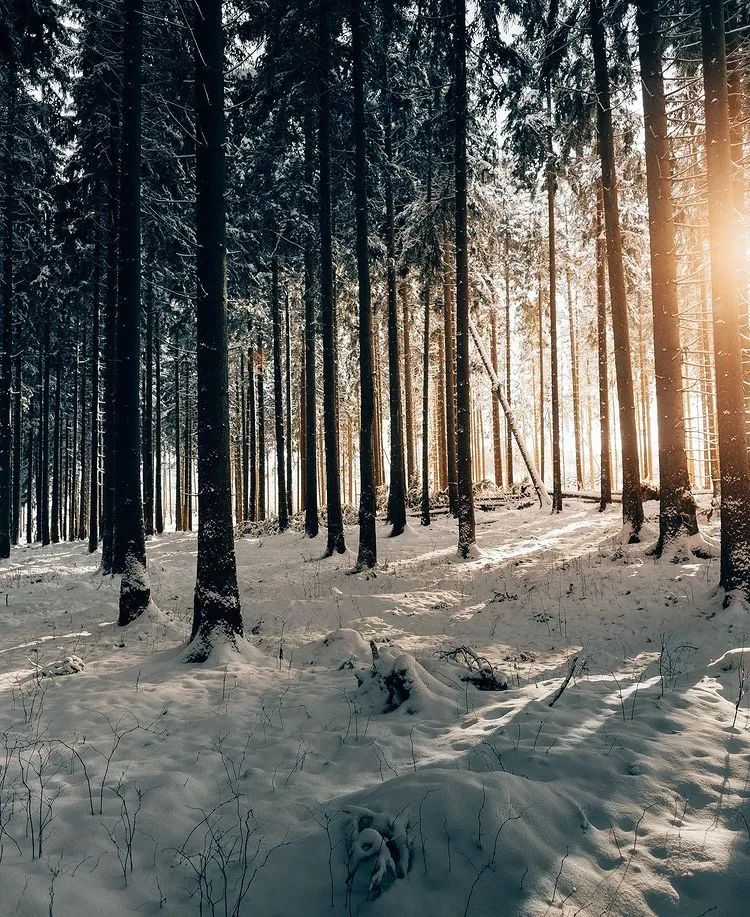 朋友的诗|铁马：我是那荒芜之国被废黜的王