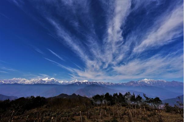 红色樱桃文化,红色文化四川记忆
