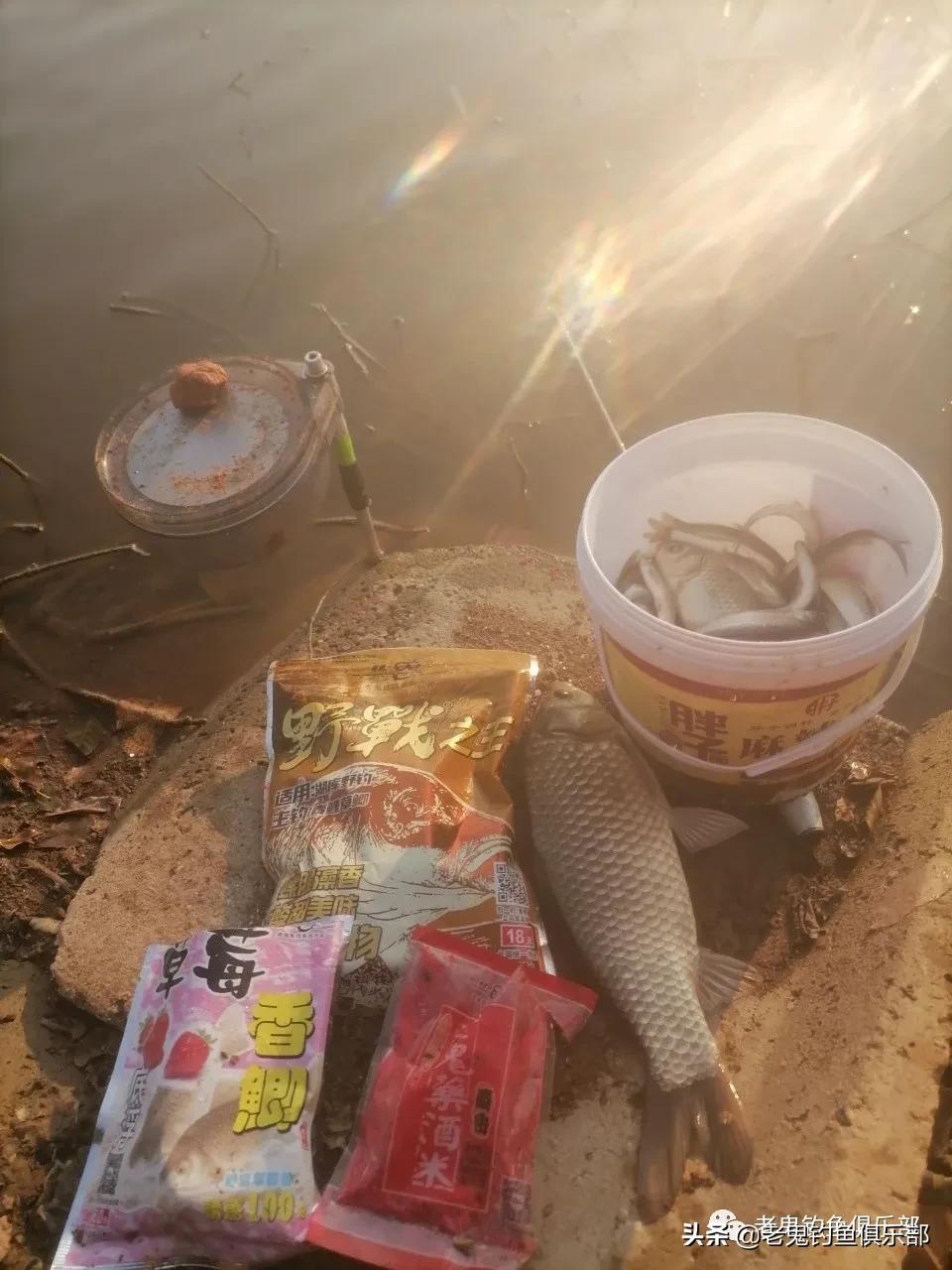 野战之王巨物冬钓鲫鲤如何搭配,野钓之王巨物版能钓鲫鱼吗