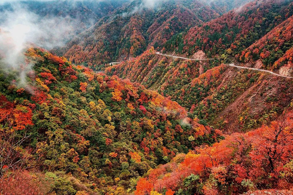 7-8月适合旅游的最佳地方最新,9月旅行地推荐国内最美的10个地方