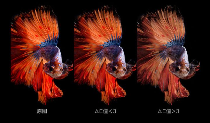 电脑显示器推荐32寸1080,2022年10月份电脑显示器怎么选