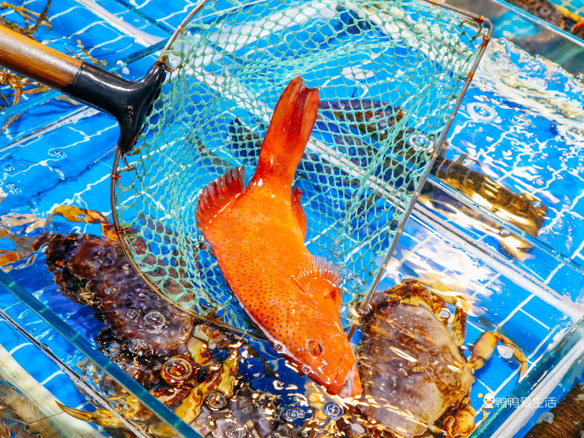 厦门老字号十大名店,厦门老字号肉松