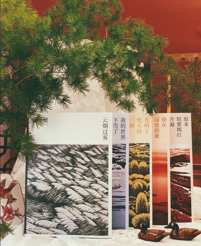 迟子建小说的爱的主题,迟子建的散文爱