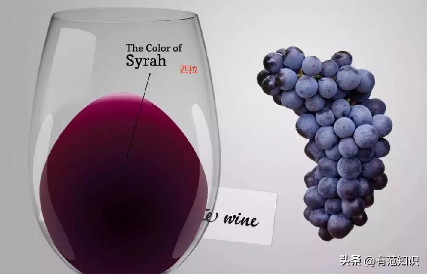 酿造葡萄酒的基本步骤,如何酿造香气扑鼻葡萄酒