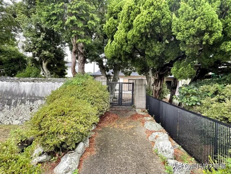 安倍昭惠会继承安倍遗产吗,安倍晋三有财产和子女吗