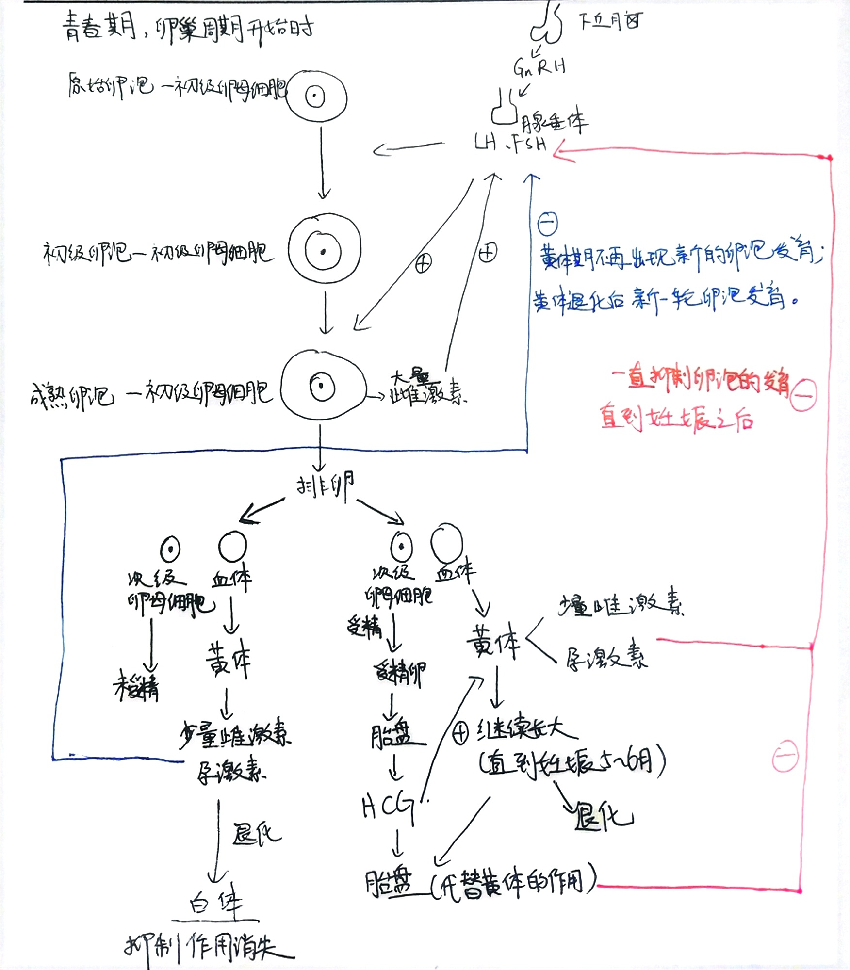 陈阅增普通生物学第五版与第四版,陈阅增普通生物学第4版课后答案