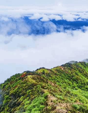 清远金子山旅游攻略看雾凇,广东金子山雪景旅游攻略