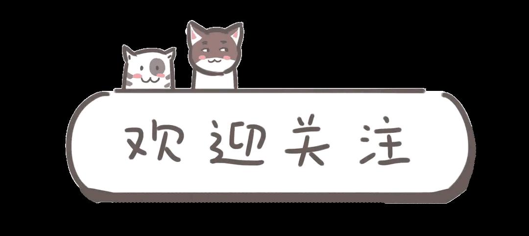 玫瑰花送你最浪漫,姑娘送一个玫瑰花给你