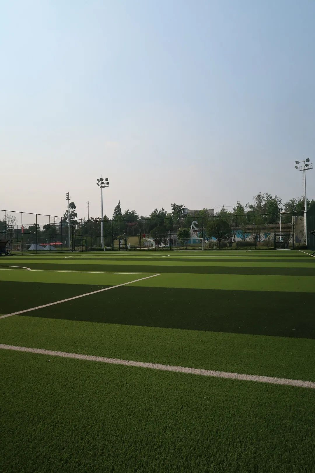 收藏价值的篮球推荐,收藏价值高乒乓球拍