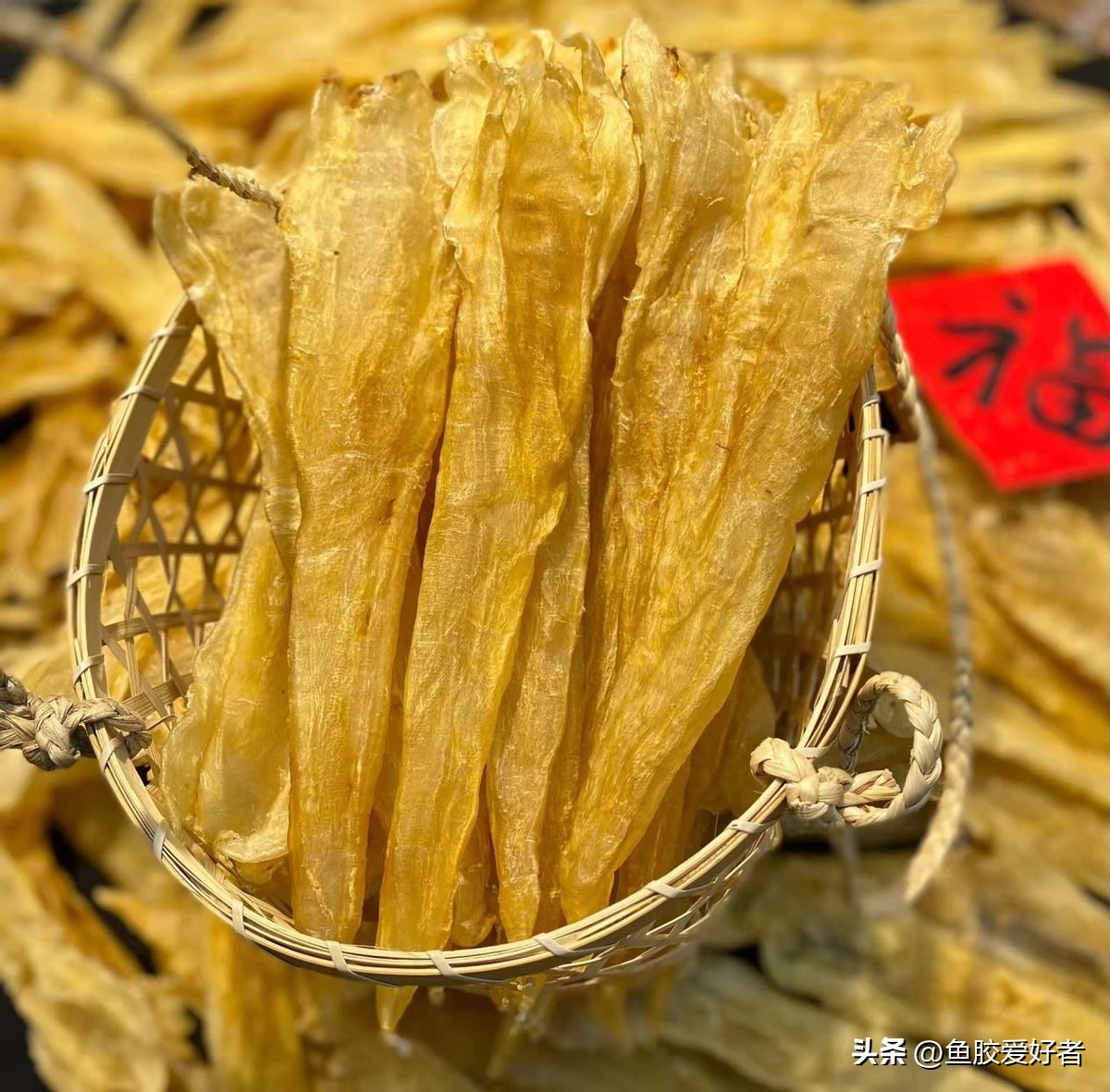 小价位的鱼胶哪些值得买,鱼胶哪一款比较好