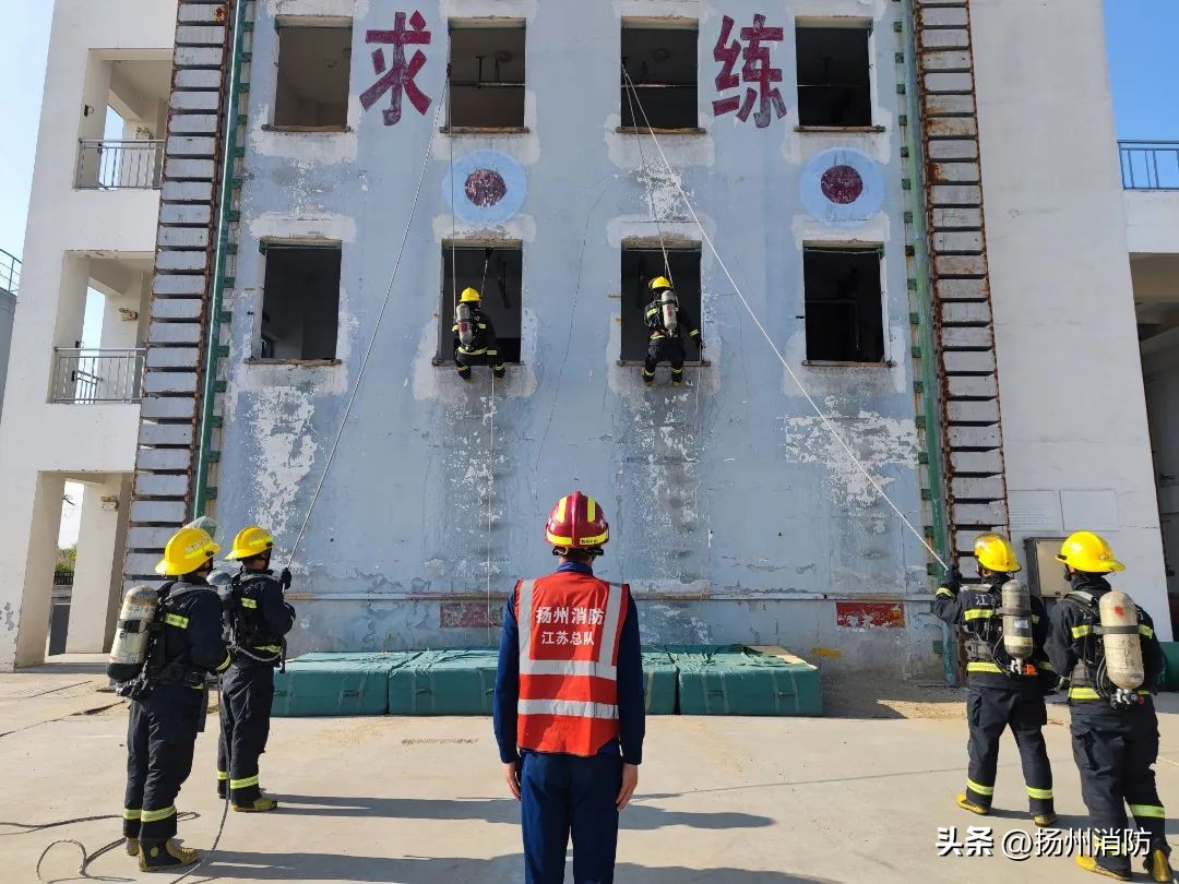六一：“蓝焰幼崽”的六个变化