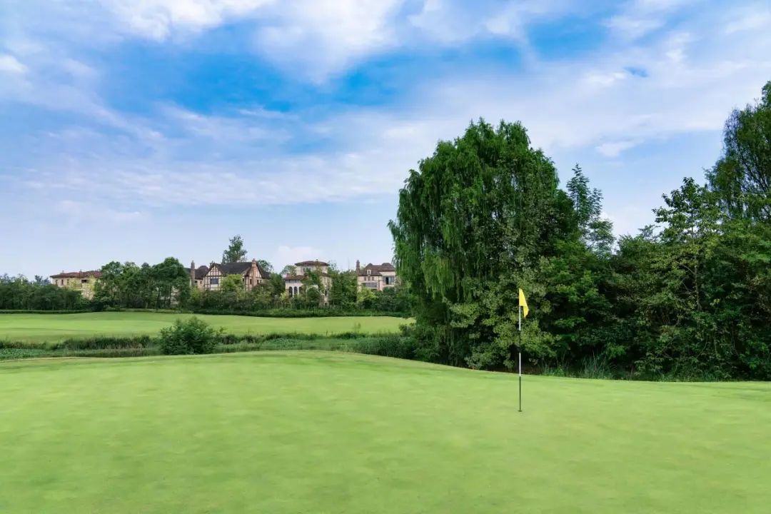 广汽honda2020中国业余公开赛肇庆,湖南广汽honda中国业余公开赛