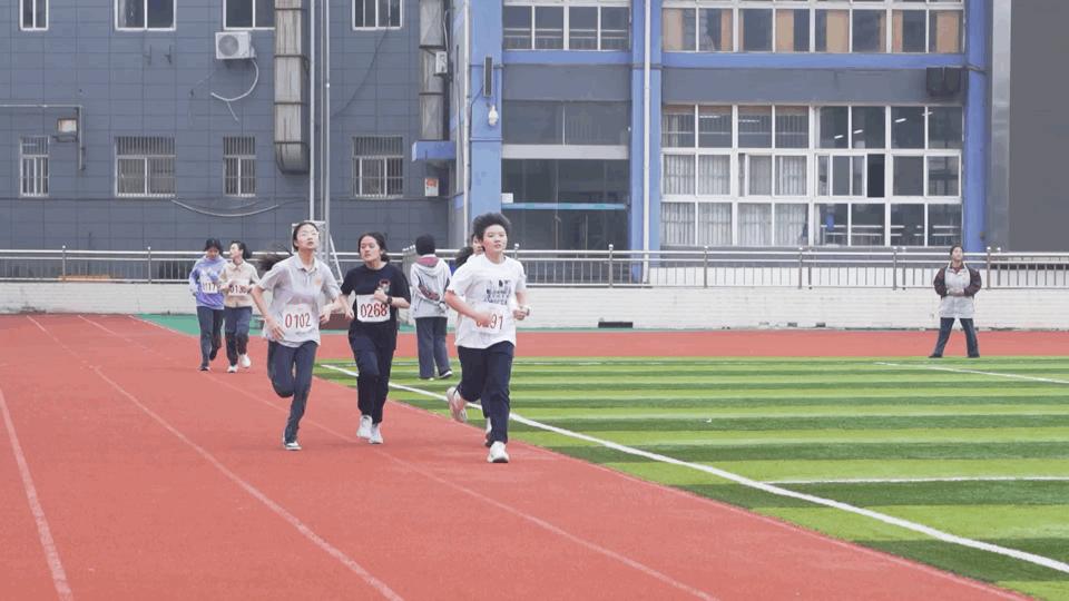 南京天河实验小学运动会开幕式,南京实验国际学校运动会开幕式