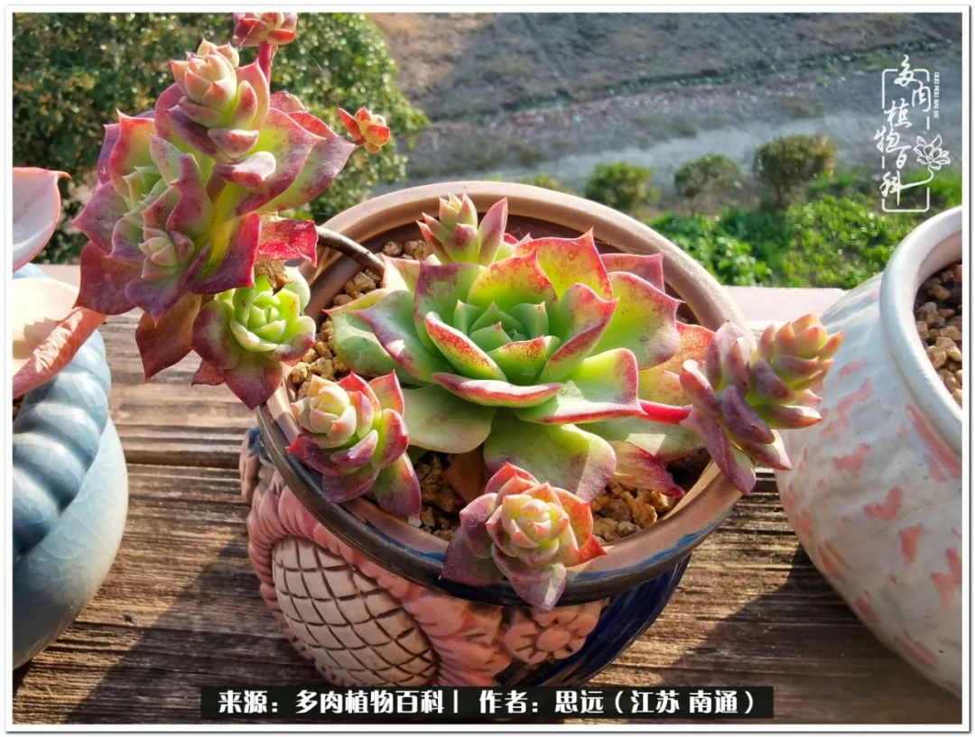 隔着时间的深爱，来自秋天的私语