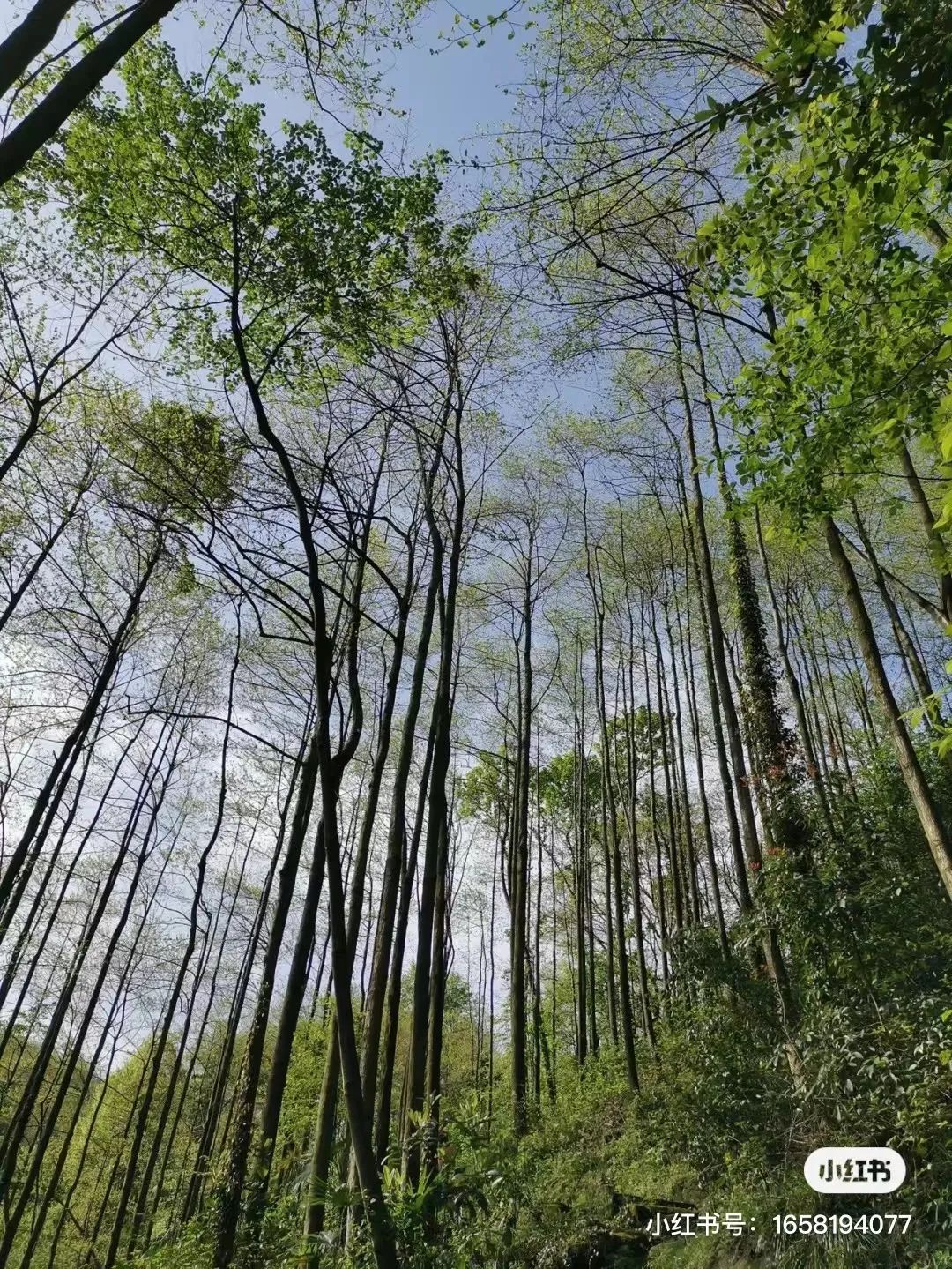 成都周边两天徒步推荐,成都周边徒步耍水一日游