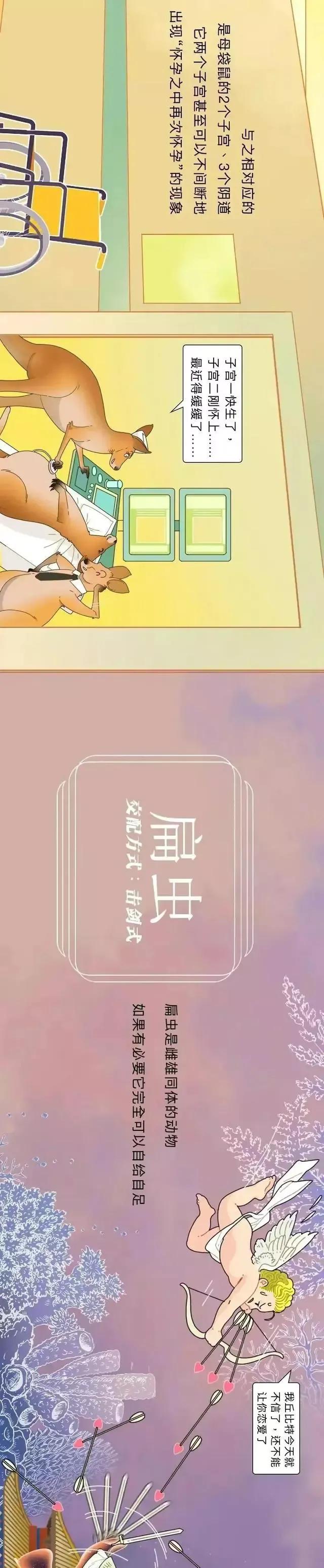 动物交配时长对照表，看完我又自信了（漫画）