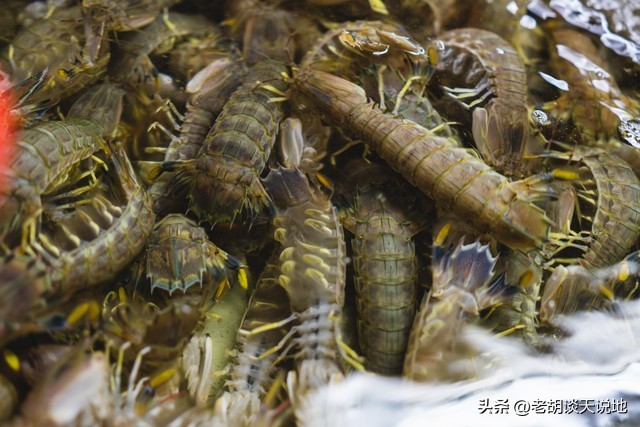 威海海鲜猫腻,威海海鲜价格贵吗