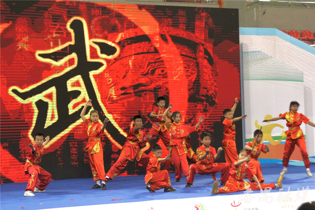 广东大湾区体育嘉年华,粤港澳大湾区体育嘉年华