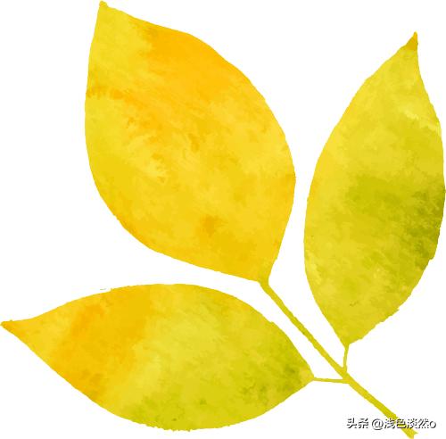 能不能生吃？河南能买到？大河报记者亲探*疆新**深山里的三文鱼渔场