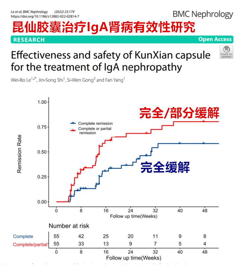 雷公藤制剂对肾病的作用机制,肾病治疗雷公藤和激素哪个好