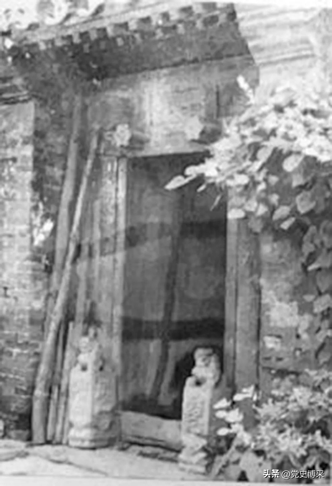 觉醒年代陈独秀和鲁迅,觉醒年代陈独秀生平事迹300字