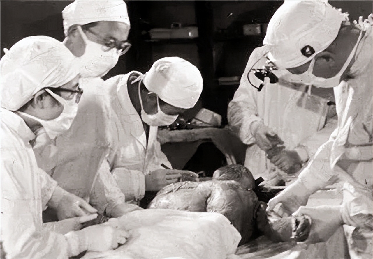 日本当年用什么换辛追夫人头发,日本索要辛追的头发