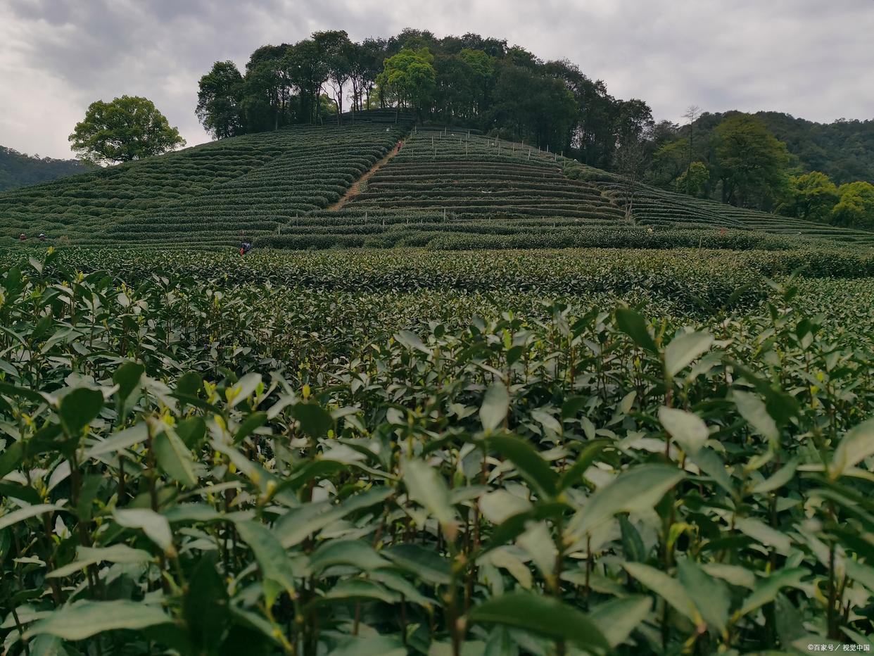 杭州自由行3-4天攻略,杭州自由行2天攻略