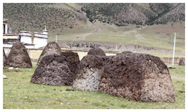 揭秘风干牦牛肉,牦牛肉曝光