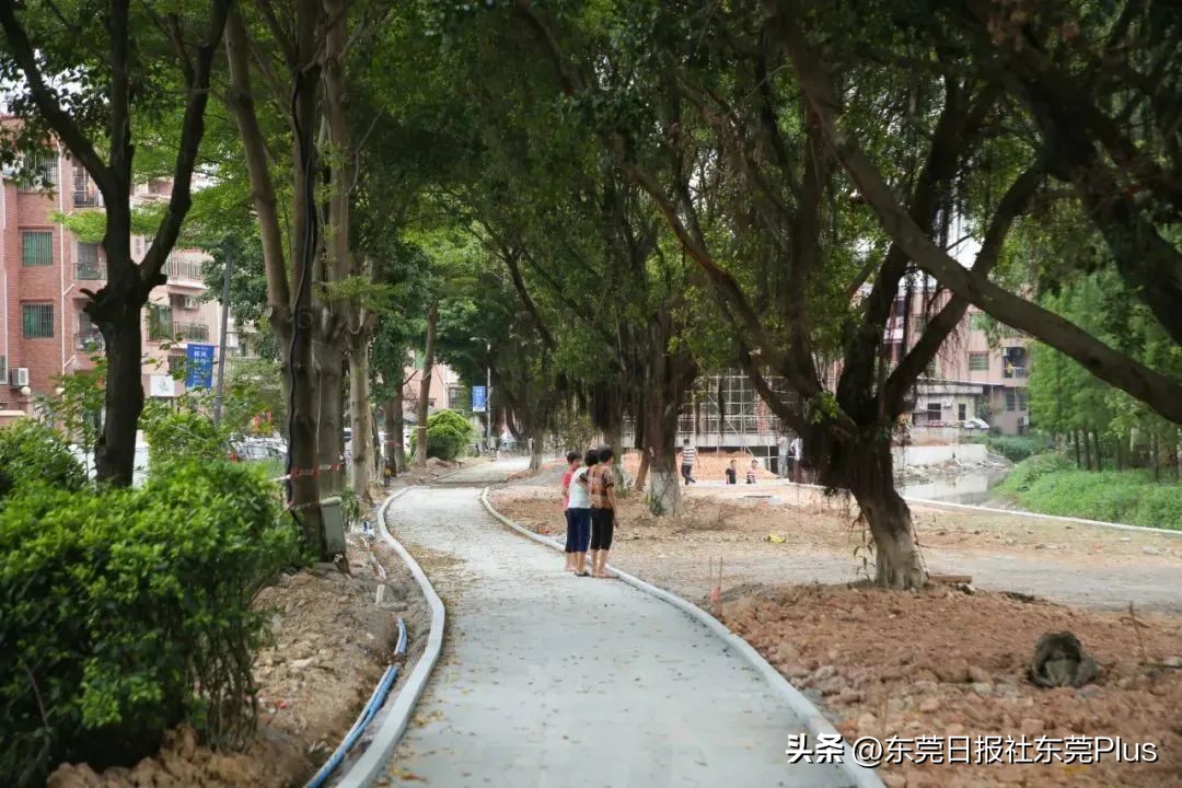 麻涌公园里最新消息,东莞麻涌公园