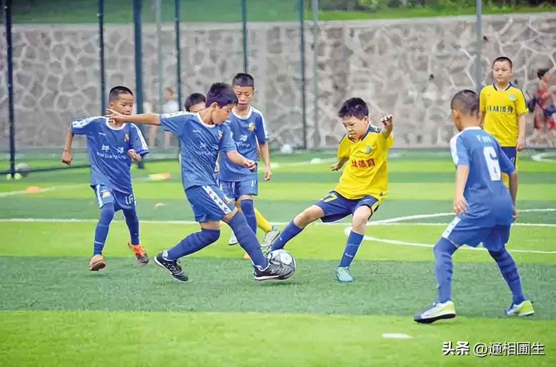 中国的足球为什么那么差,中国足球输越南越来越难