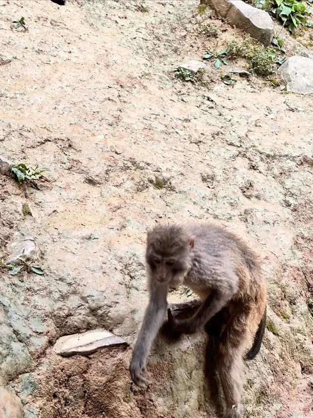 统景温泉视频,统景温泉旅游一日游