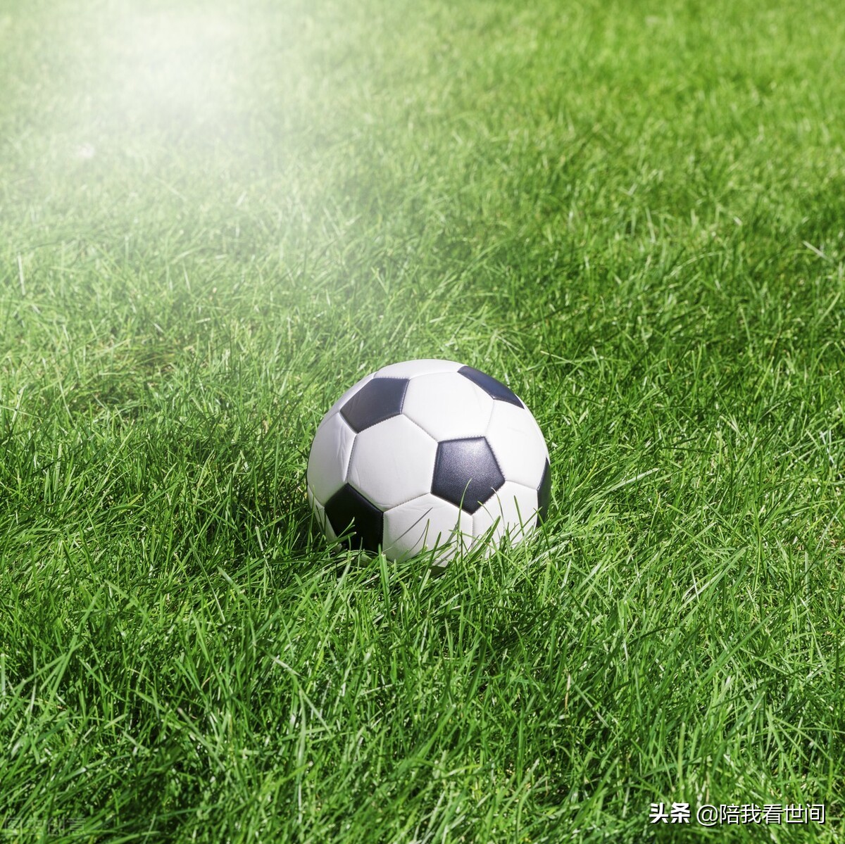 国足的未来到底在哪里,国足未来归化计划