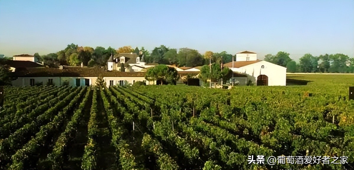 法国佳颂庄园红酒,法国十大红酒酒庄排名及价格