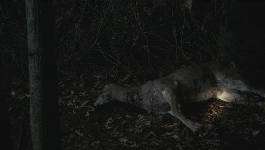 异世界怪奇物语,美剧推荐大片9.0以上评分怪奇物语