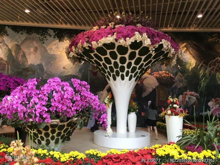 云南七日自助游攻略，云南7天6晚旅游最佳路线，值得收藏