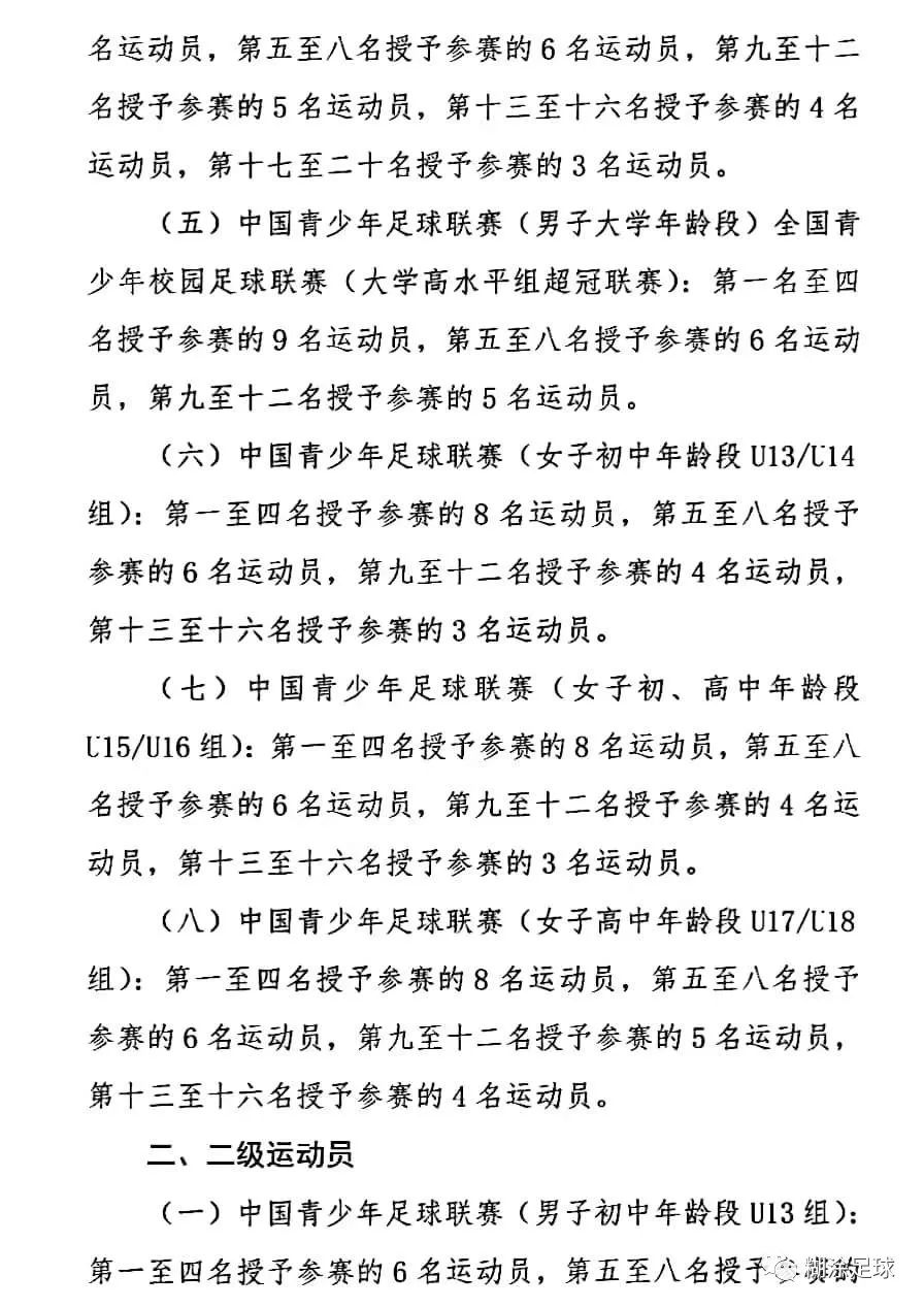 全国青少年足球联赛全国总决赛,中国青少年赛事等级