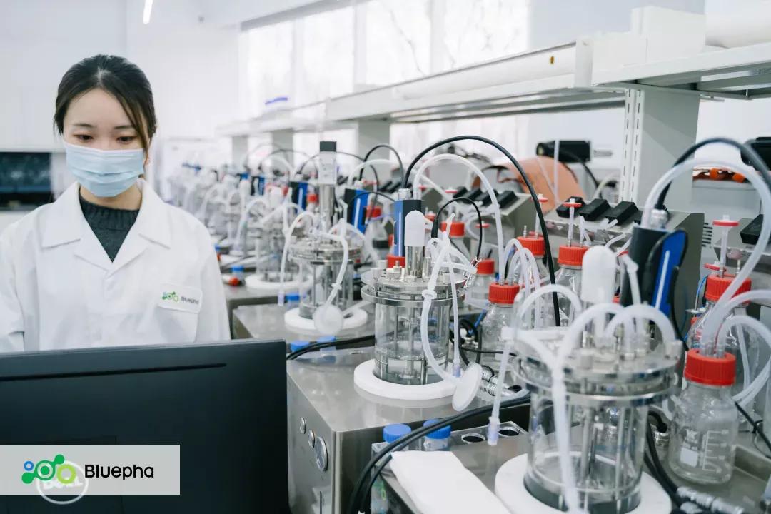 蓝晶生物融资,蓝晶微生物科技有限公司上市了吗