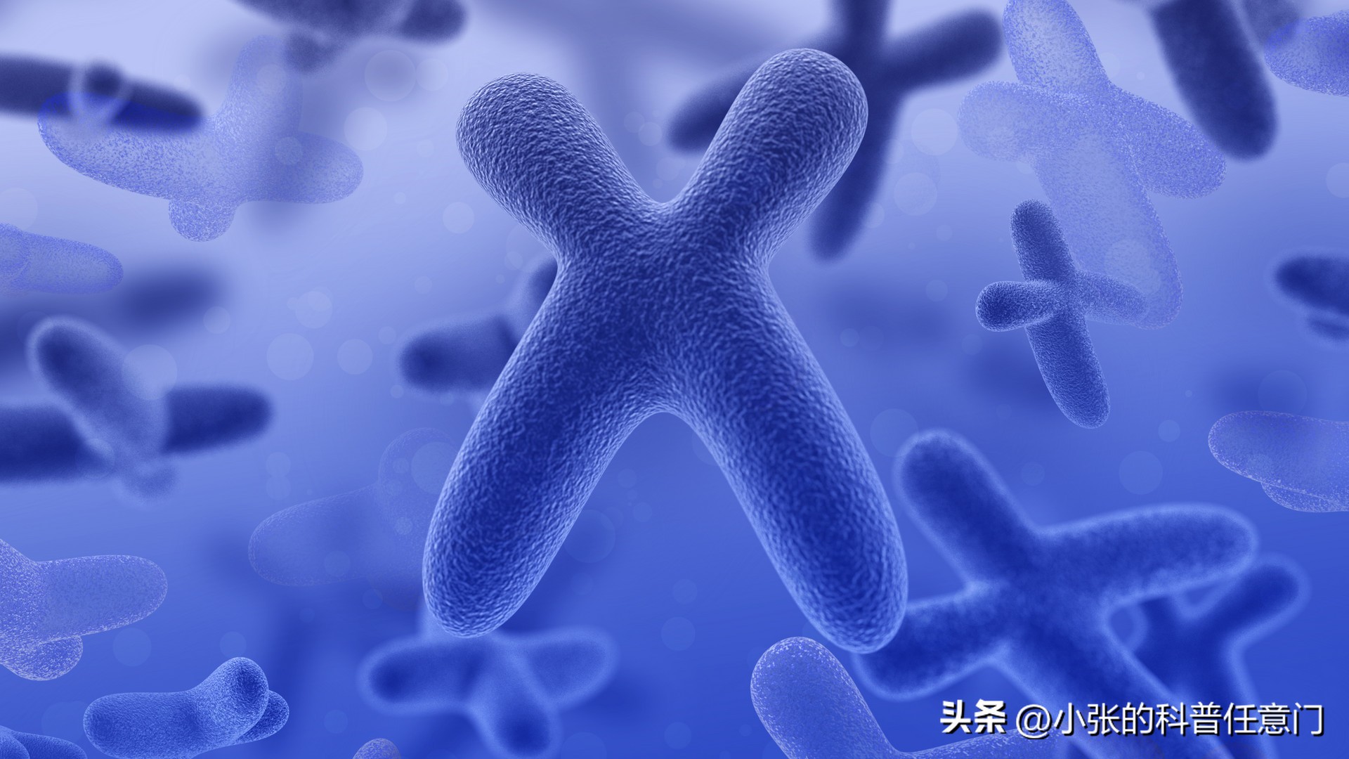 淫羊藿野生和种植效果有区别吗,淫羊藿根系