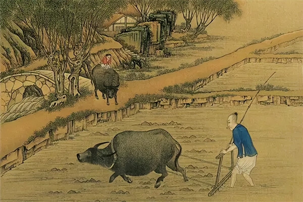 中国古代府兵制最重要的特点是,府兵制就是征兵制吗