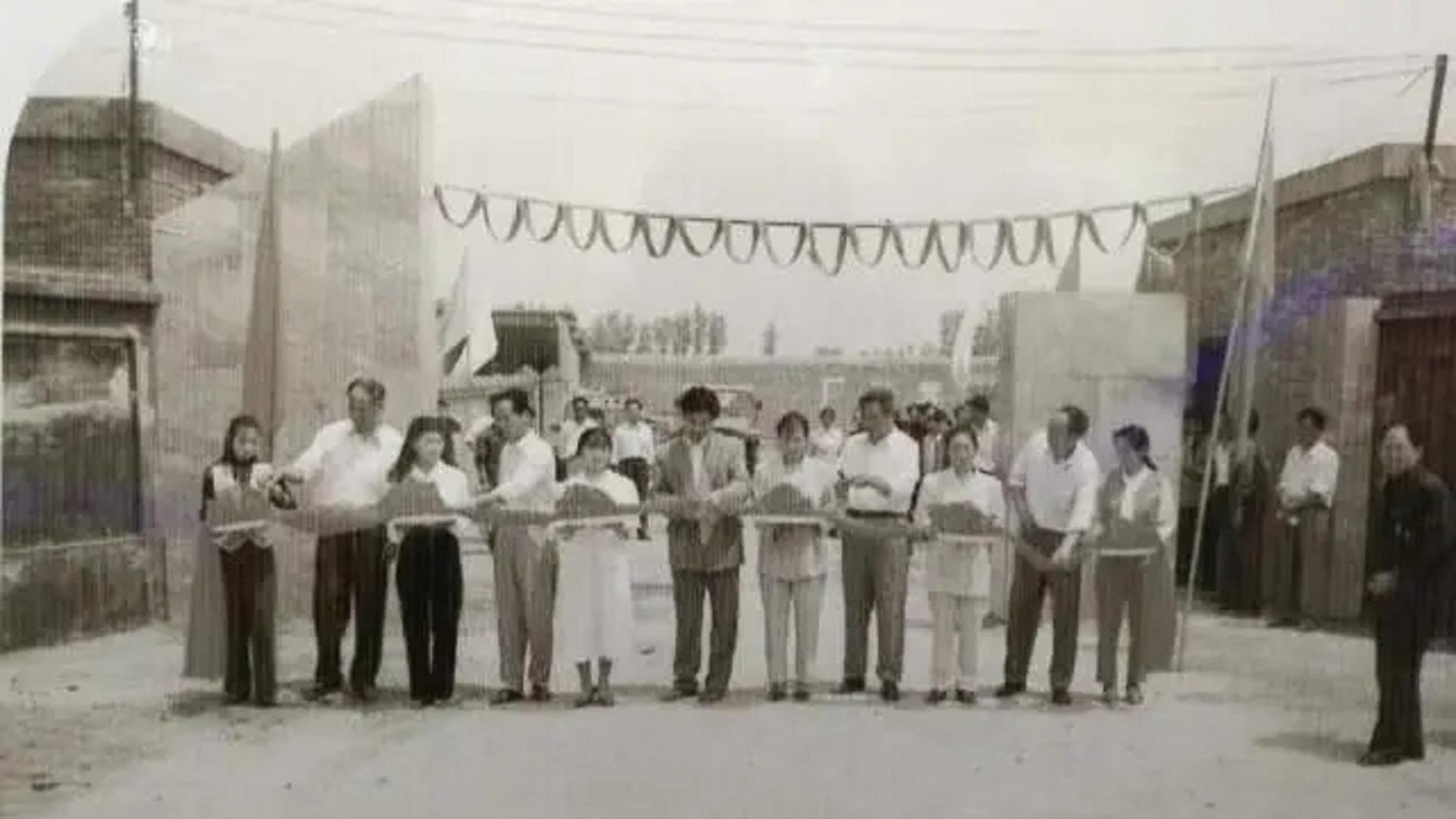 河南民营企业10强公司排名,河南十大民营企业