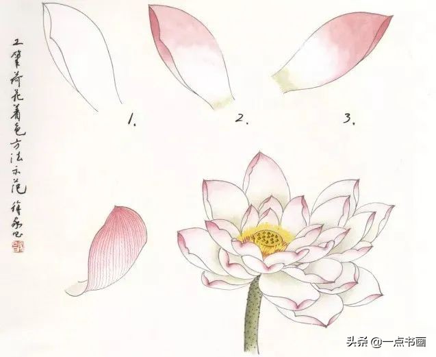 鍥界敾鑽疯姳鐢绘硶瑙嗛,娉煎ⅷ鑽疯姳鐢绘硶瑙嗛