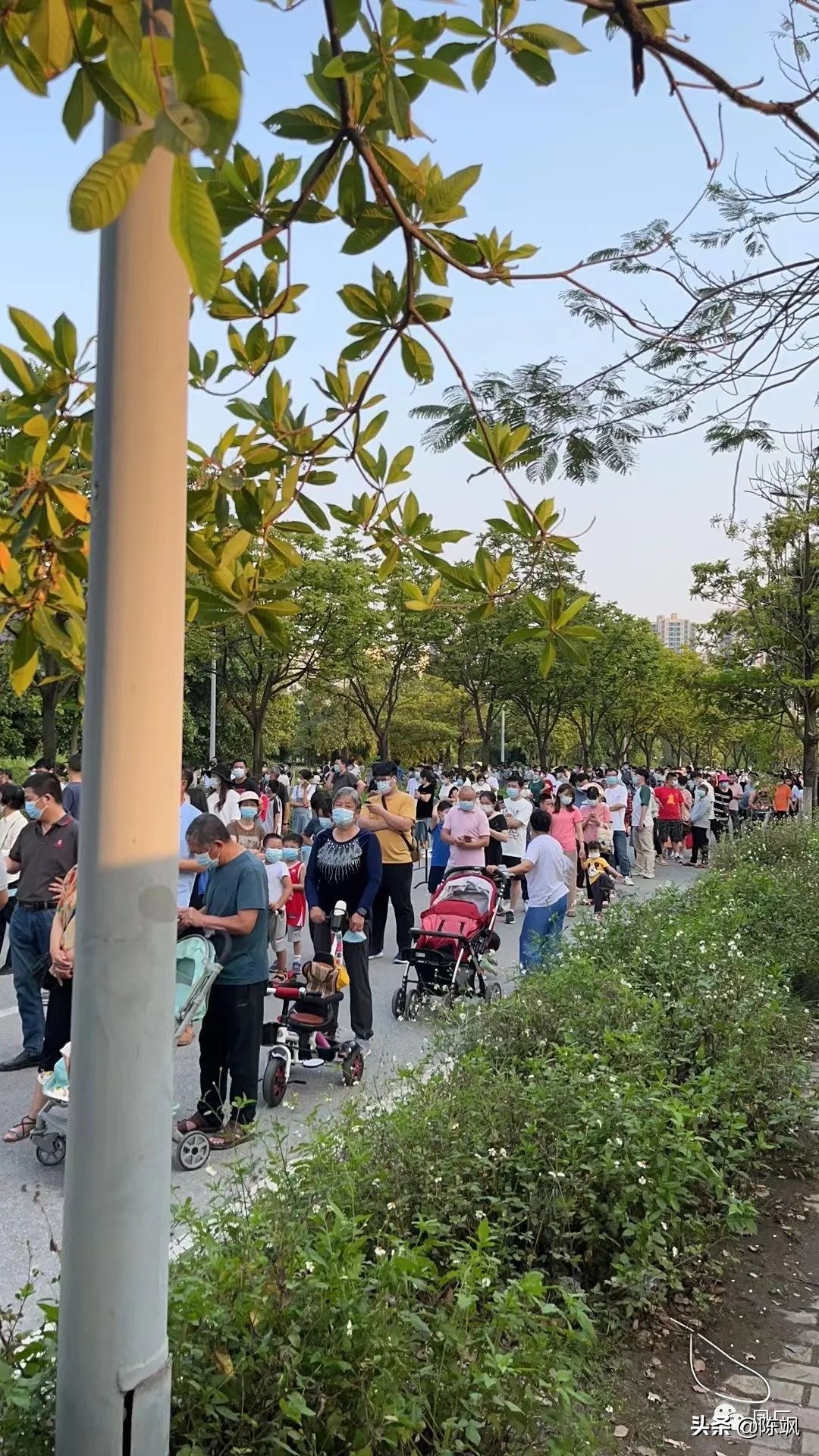 容桂凤凰湾社区,容桂凤凰湾简介