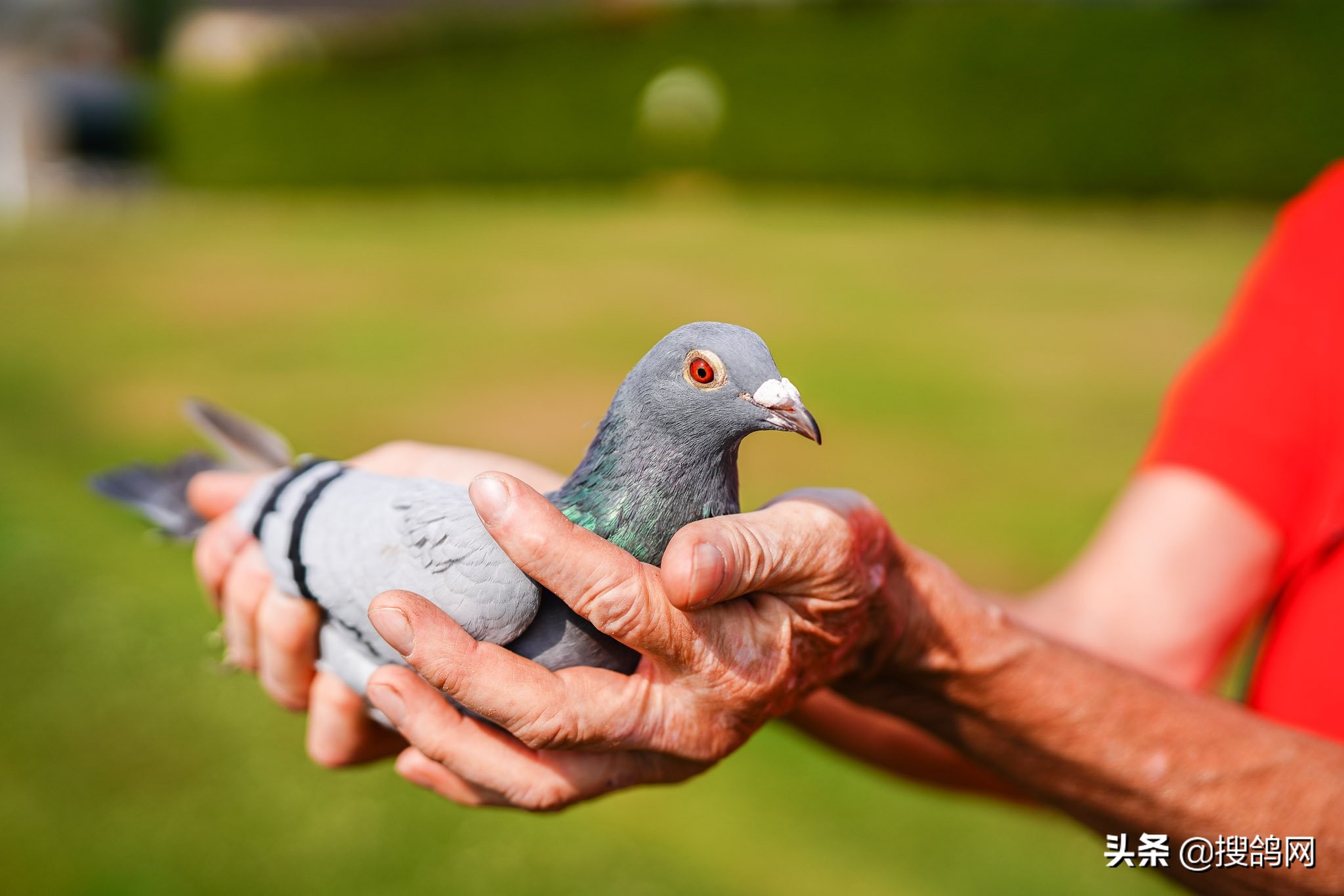 巴塞罗那是世界冠军吗,巴塞罗那6连冠都是哪六冠